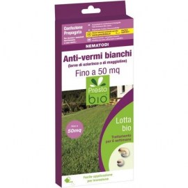 vermi bianchi